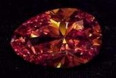 Great Chrysanthemum Diamond(グレートクレサンサマンダイヤモンド)