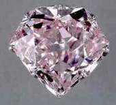 Hortensia Diamond（オルテンシアダイヤモンド）